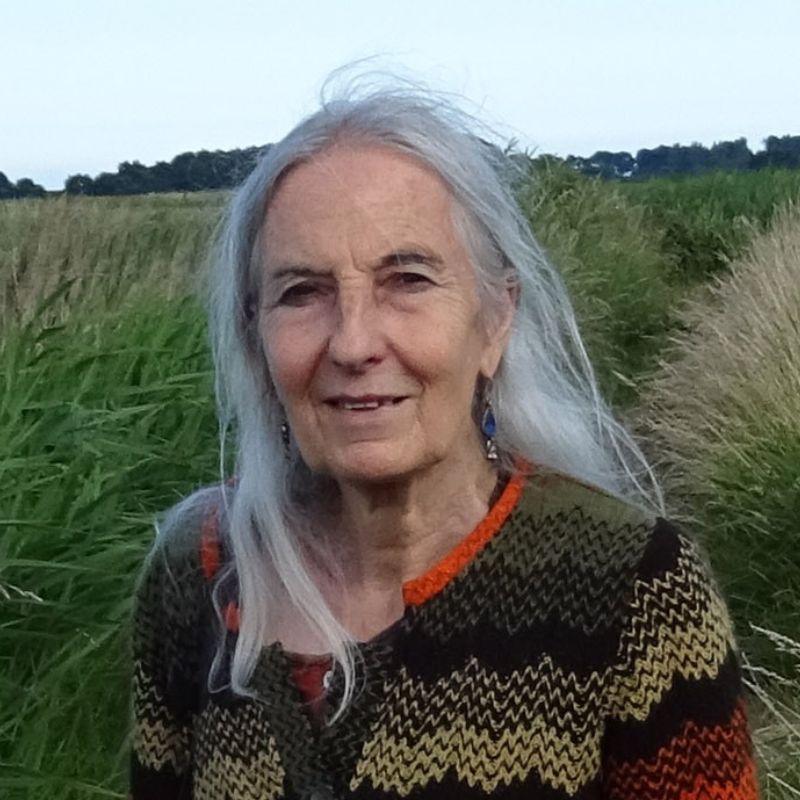 clas-festival-tutor-2026-gaynor-goffe